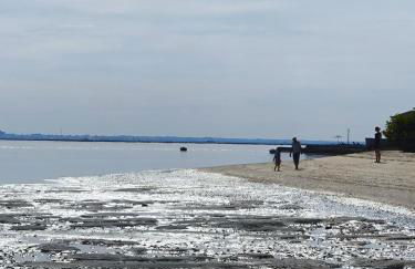 SixtyNine Beach Cottage - Foto 28