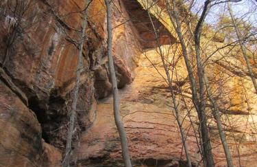 Alice Rocks - Pet Friendly, Firepit, WiFi - Foto 24