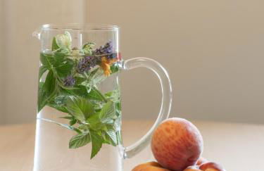 Dianthus Apartment - Photo 28