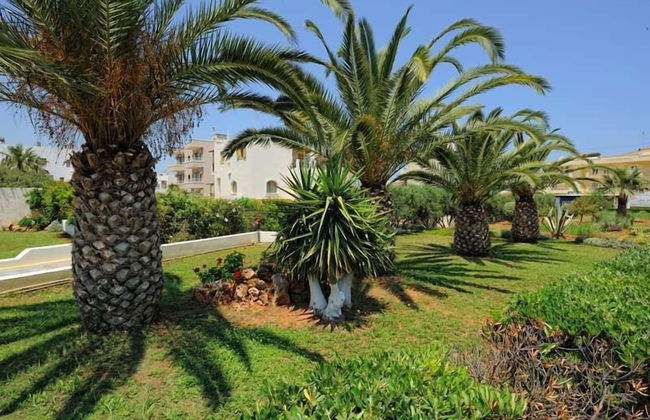 Sergiani Garden - Photo 63