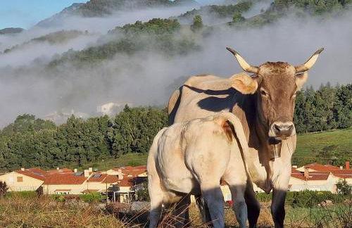 La Cabanya de Can Ganasta - Photo 59