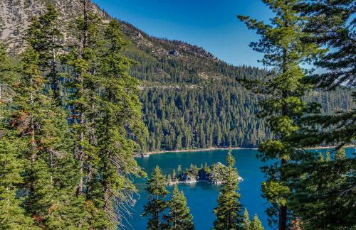 The Lazy Golden Cabin - Foto 30