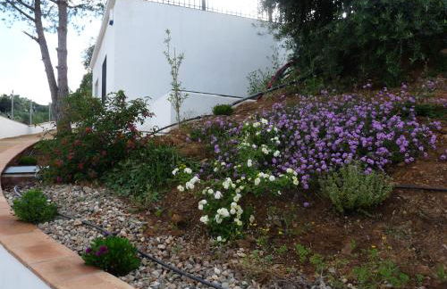 Casas Rurales el Balcon de la Brena - Foto 10