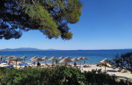 BS Village blue - Photo 39