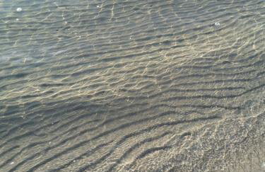 Skorzęcin Przytulny Zakątek - Foto 68