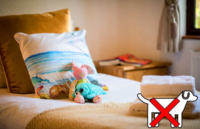 St. Tinney Farm - Photo 47