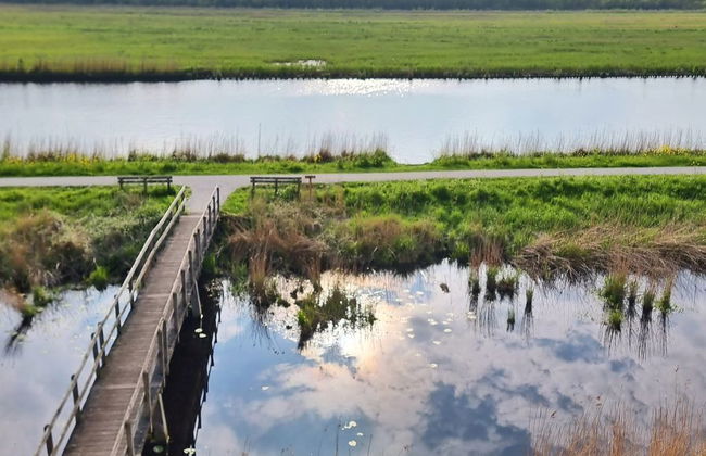 Natuurlijk de Veenhoop - Foto 16