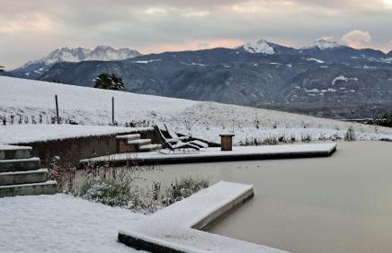 Nikolausberg - Hof im Garten - Foto 26
