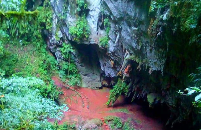 Escursione alla grotta Vulcano - Foto 7