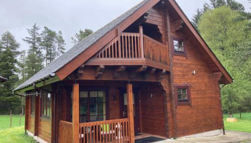 Norwegian Log Cabin The Roe Deer -sauna & hot tub - Foto 3