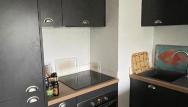 Tao - Foto 5, stove, pet friendly