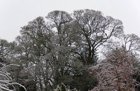 Fun holiday lodges in historic walled garden near Falkirk, Heart of Scotland Holidays - Foto 47