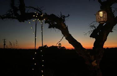 Monte Das 7 Oliveiras - Foto 8