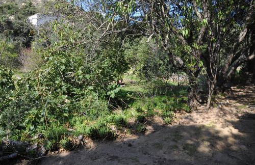 2BA Domaine Malacucina Lumio - Foto 62