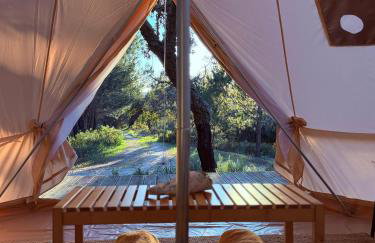 Monte da Tojeirinha - Photo 6