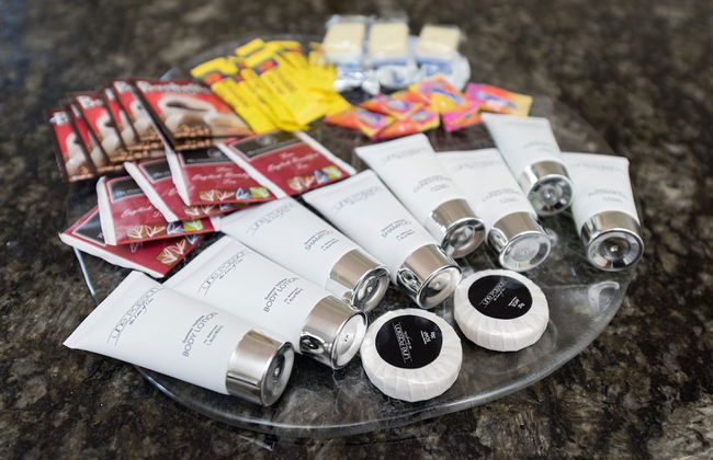 Sydney Inner City Sanctuary - Photo 16