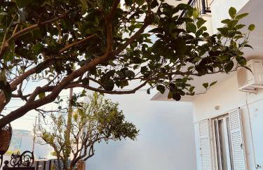 Alkisti's seaside apartments - Photo 23