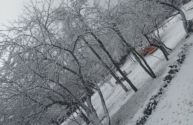 Retreat Holiday in Cozy Traditional House - Photo 46