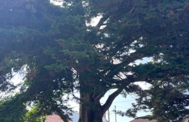 Charmant studio rénové - Photo 12