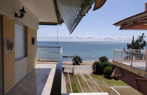 Entire Appartment 50m from sea - Spiros - Photo 6