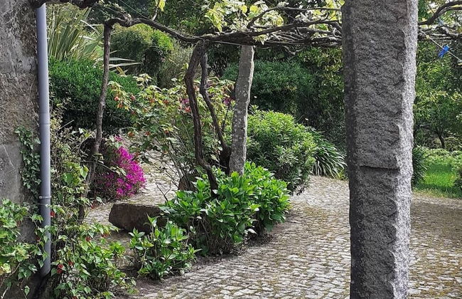 Serrado de Bouças - Foto 80