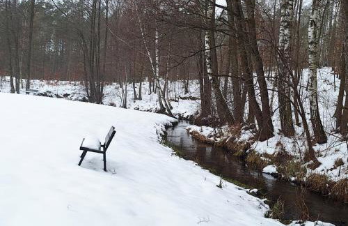 Apartamenty W Zaciszu - Foto 38