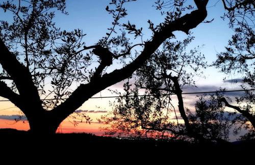 Serendipity - Foto 28