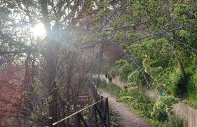 El ático azul - Foto 16