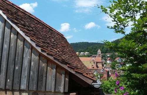 Meisterhaus Alpirsbach Wohnung OG - Foto 10