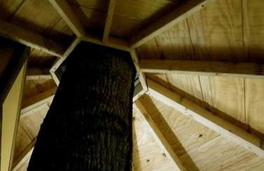 Tree Top Cabin in Crumpler, North Carolina - Foto 7