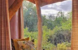 Tara vegetarian retreat guesthouse - Foto 14