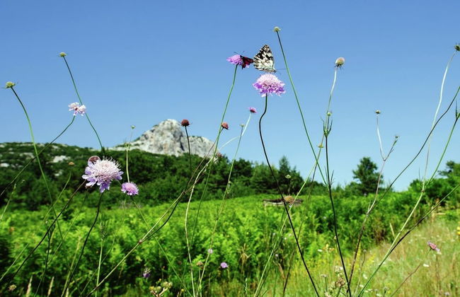 Quiet Country Side Cottage with Private Garden & WiFi near Nature Park Velebit - Foto 11