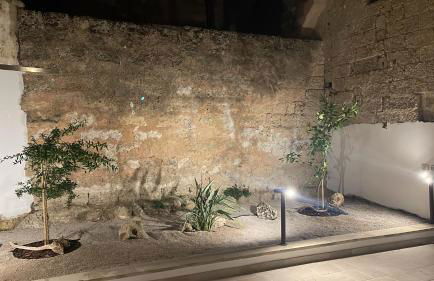 Il Giardino sulla Basilica dimora di charme - Foto 10