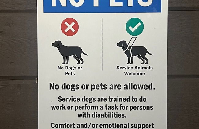 Heidelberg Inn - Foto 53