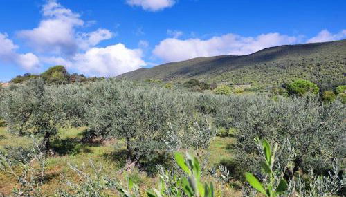 Terre de Lumière 2. - Foto 5