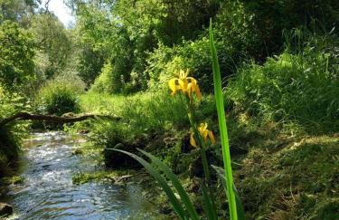 La Terrasse Suspendue, proche des plages - Foto 39