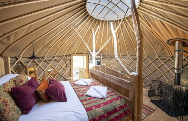 Torre Cider Farm - Foto 8