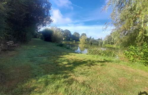 Le Zébresse - Foto 2