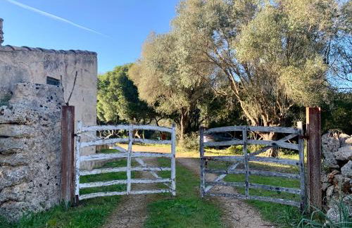 Finca na Pruna Holiday Home - Foto 25