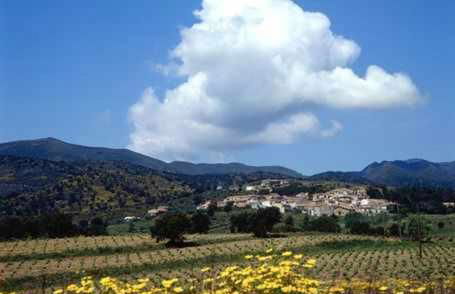 Casa rural alquiler íntegro Cal Sisco - Foto 22