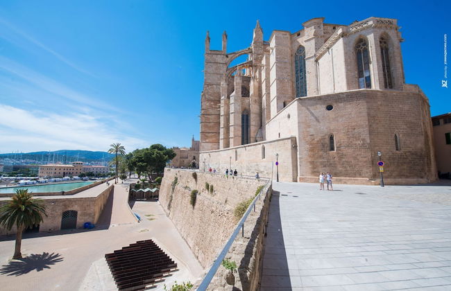 Villa Teulera in Palma de Mallorca - Photo 58