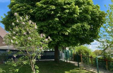 Lieblingsplatz an der Lahn - Foto 11