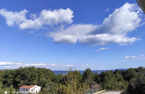 Galboka Nine - Foto 13