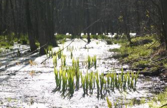 Bednarzówka - Foto 71