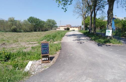 Agriturismo Bacchanalis - Foto 10