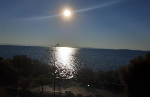 Seaside Bliss Flat - Photo 13