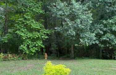 House on Nature Preserve - Foto 17