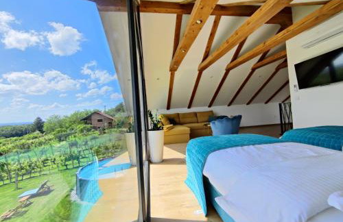 Kuća za odmor Villa Cesarica - Zagreb - Foto 46