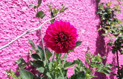 Westerland House - Foto 49