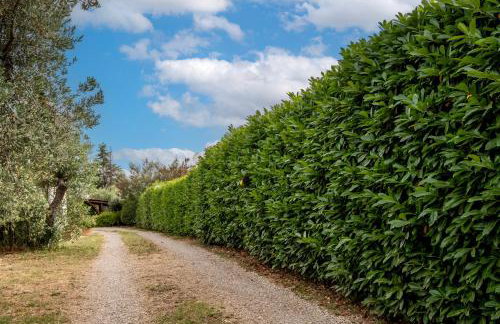 Casaletto della musica - Foto 22